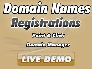 Cut-price domain name registration service providers
